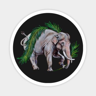 Asian Elephant with Palm Fronds Magnet